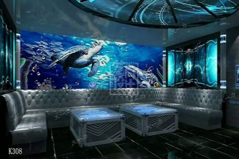 嘉兴小时场ktv引领新玩法-桐乡市ktv预定